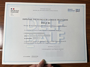 DELF B1 certificate copy