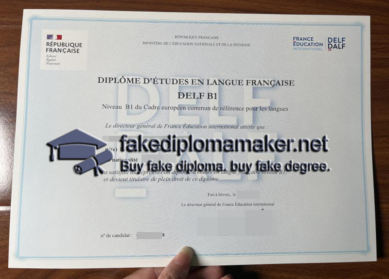 DELF B1 certificate