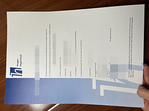 De Haagse Hogeschool diploma copy