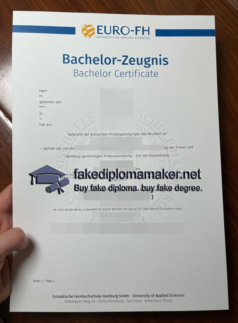 euro fh bachelor thesis