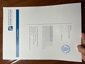 Fachhochschule Schmalkalden diploma copy