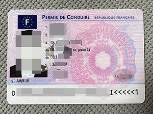 France ID copy