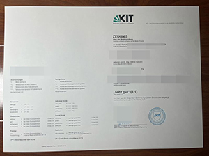 KIT transcript copy