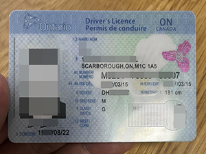 Ontario ID copy