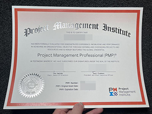 PMP Certificate copy