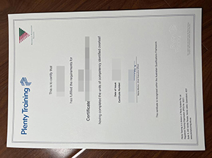 Plenty Training Certificate copy