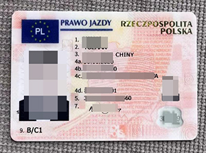 Poland ID copy