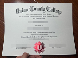 Union County College diploma copy