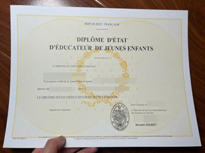 Diplôme d'Etat d'éducateur de jeunes enfants copy