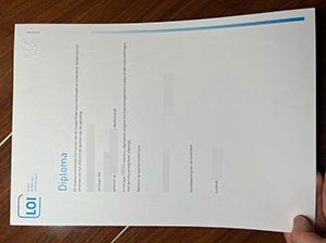 Leidse Onderwijs Instellingen diploma copy