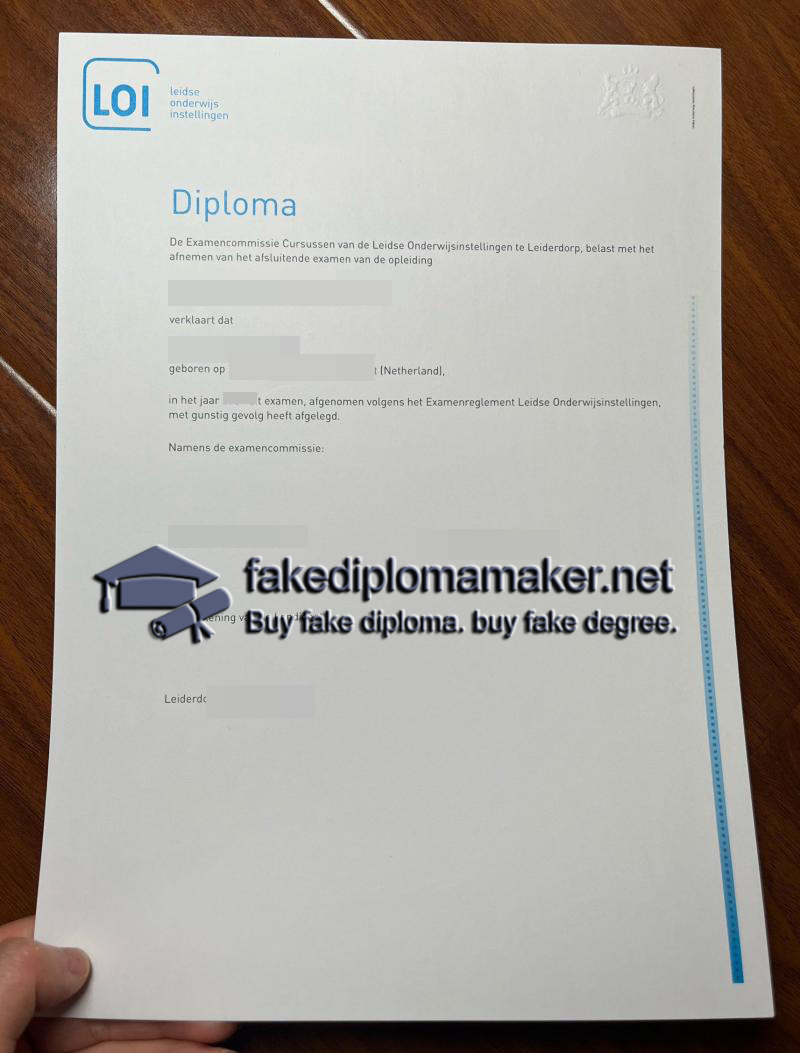 Leidse Onderwijs Instellingen diploma