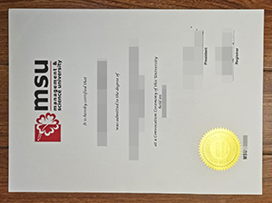 MSU diploma copy