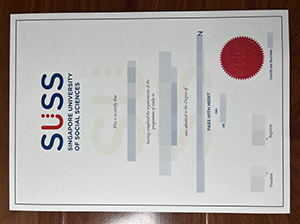 SUSS diploma copy