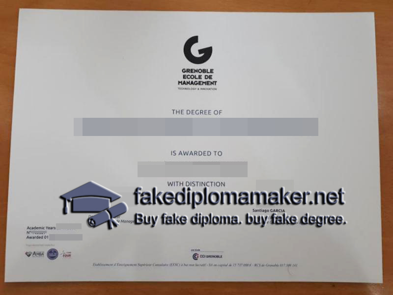 Grenoble Ecole de Management diploma