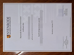 Nyenrode Business Universiteit diploma copy