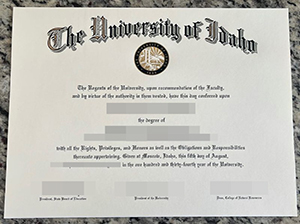 University of Idaho diploma copy