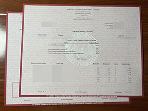 American Military University transcript replica