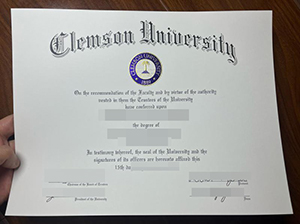 Clemson University degree copy