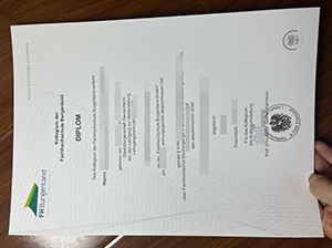 FH Burgenland diploma copy