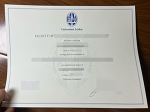 Leiden University diploma copy