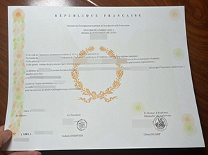 UNIVERSITE LUMIERE-LYON II diploma replica