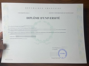 Université Lyon I diploma copy