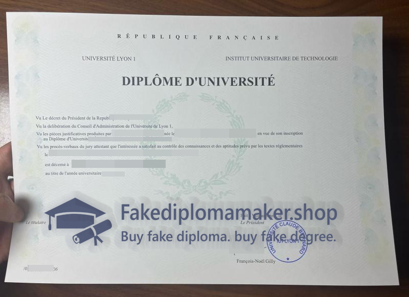 Université Lyon I diploma