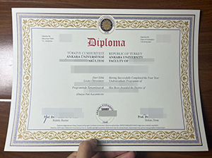 Ankara University diploma replica