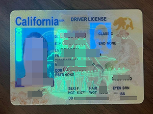 California driver license replica