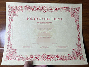 Politecnico di Torino diploma-1