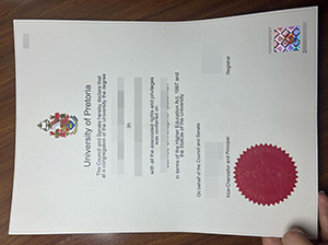 fake University of Pretoria diploma-1