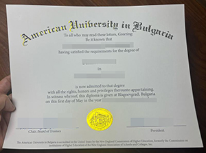 AUBG diploma-4