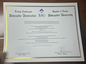 Bahçeşehir University diploma-1