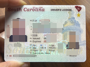 South Carolina ID-1