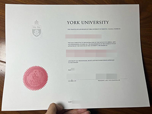 fake York University diploma-1