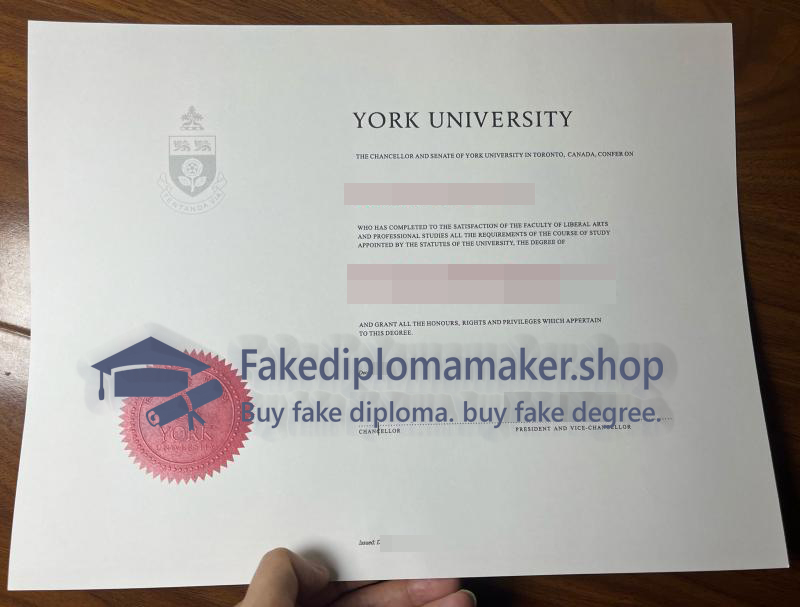 fake York University diploma