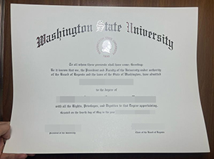 Washington State University degree-1